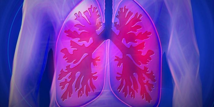 Researchers Identify Pair of "Recruiters" that Pull T Cells to the Lungs