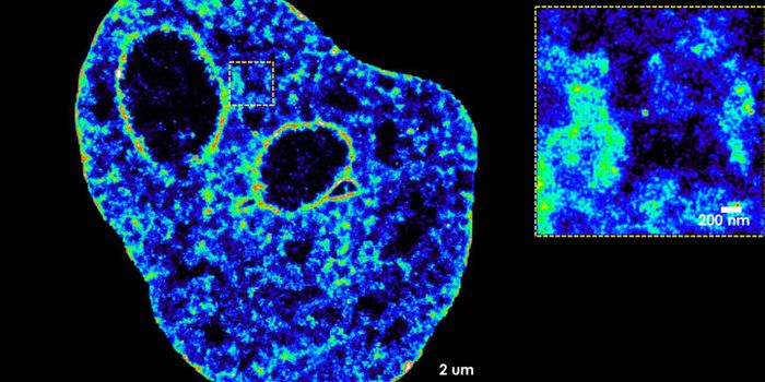 DNA Structure Affects Transcription & the Reverse May Also be True