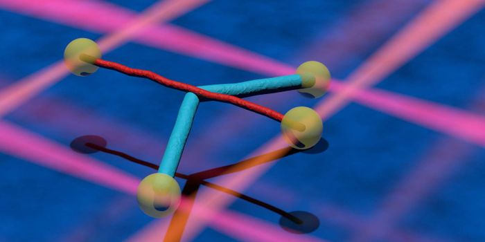 Taking a Close Look at Interactions Between Cellular Filaments