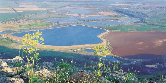 Israel Hosts Biomed Conference