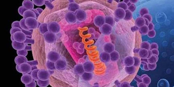 New Molecule gets Scientists Closer to an HIV Vaccine