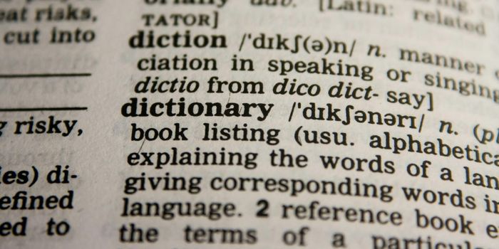 Children and Teens Intrinsically Enjoy Learning New Words