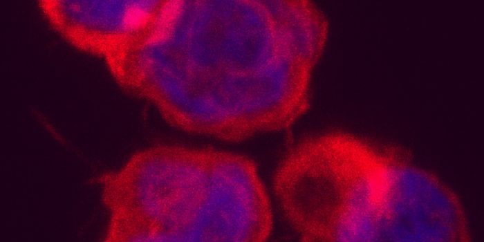 Single-Cell RNA Sequencing Facilitates New Immune Cell Discovery