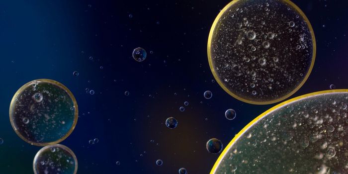 Scientists Link Novel Cell Types to Multiple Sclerosis