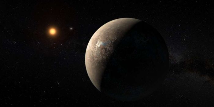 Does Proxima b Have a Global Ocean?