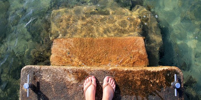 Brain Chemical Noradrenaline Helps Us Adapt to Uncertainty