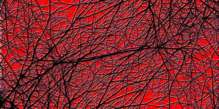 Researchers Uncover Synapse Mechanism Behind Addiction