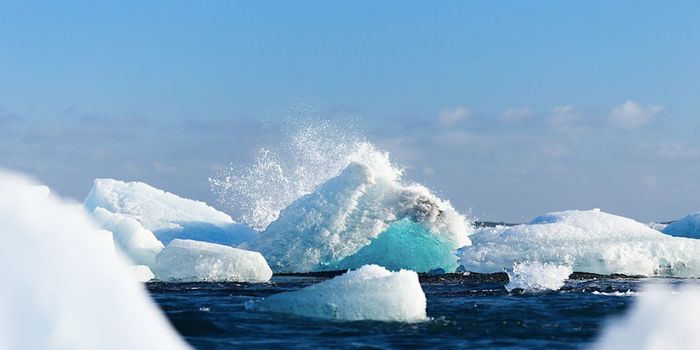 Melting Arctic Ice Carries High Levels of 'Forever' Chemicals