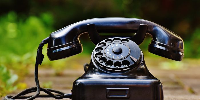 Salmonella Vaccine Uses "Molecular Telephones" to Talk to the Immune System