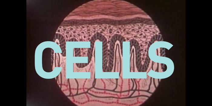 How UV Light Impacts DNA