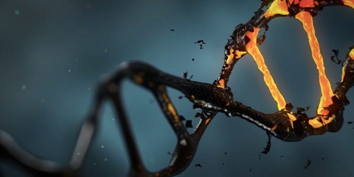 Silent Genetic Mutations Are Not as Quiet as we Thought