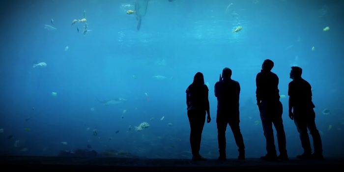 How Bacteria Help Clean the Georgia Aquarium