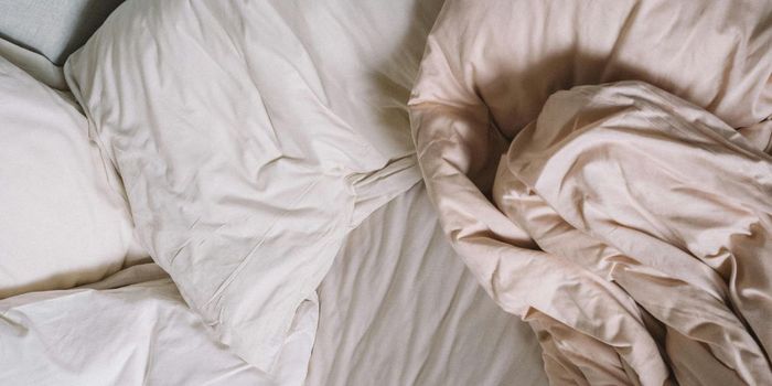 Loneliness Predicts Insomnia More than Screen Time