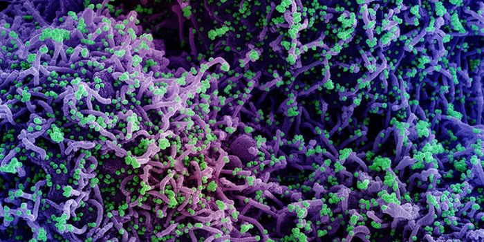 How SARS-CoV-2 Evades Antiviral Defenses