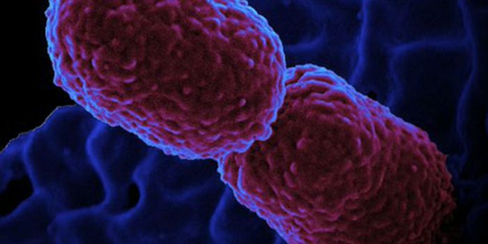 A Genetic Assessment of a Drug-resistant Pathogen