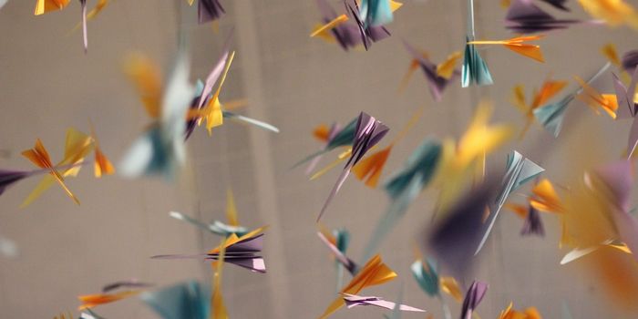 World's Smallest Origami Bird