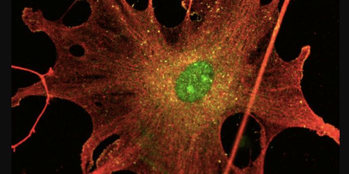 Research on Neurological Tumor Development Reveals Drug Target