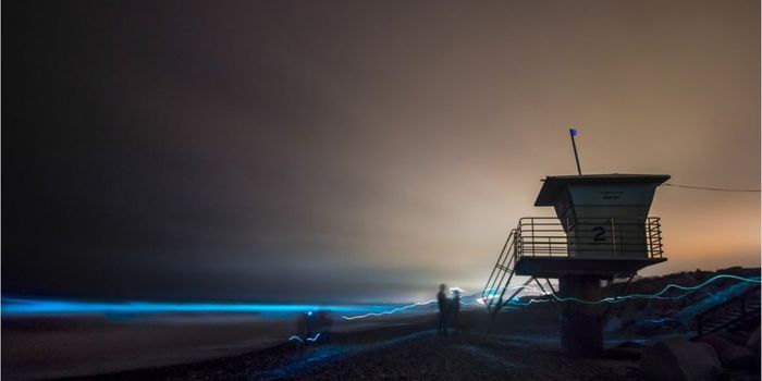 Bioluminescence Lights Up San Diego Tide