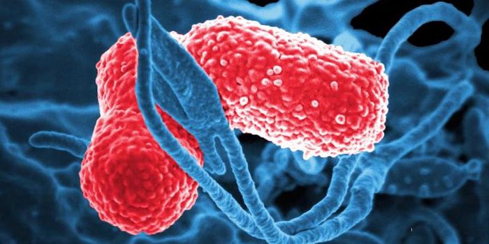 A Virus is Used to Cure Patient's Persistent Antibiotic-Resistant Infection