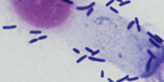 Vaping may Raise the Risk of Pneumonia