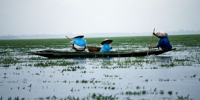Climate Change Increases Depression and Anxiety by 87% in Bangladesh