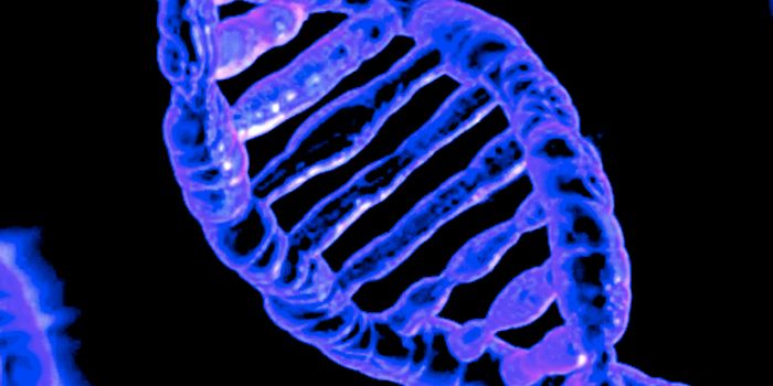 Eggs are Kept in Stasis With an Epigenetic Tag