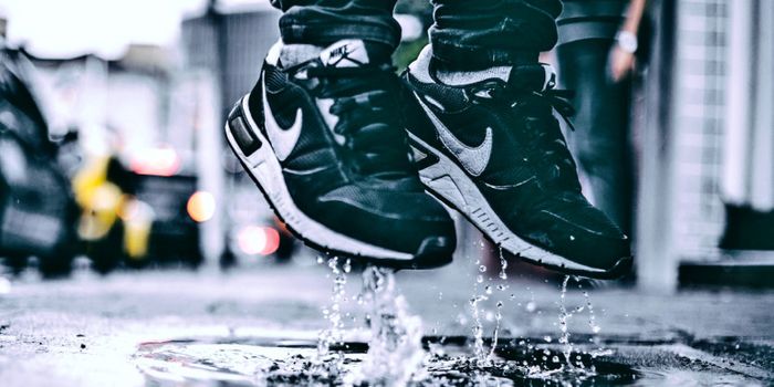 Was a puddle the ‘lab' where life on Earth began?