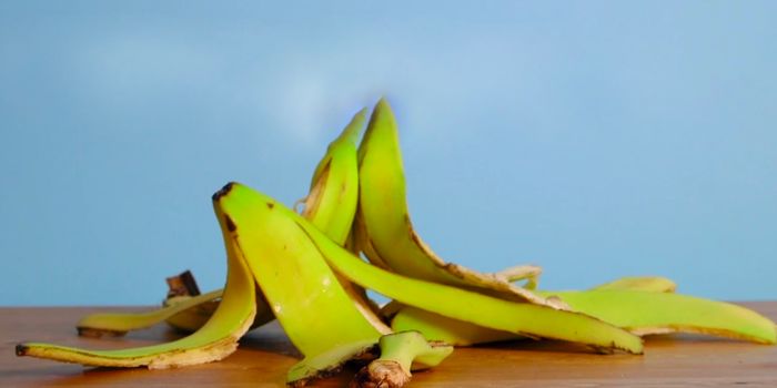 Should You Eat Those Banana Peels?