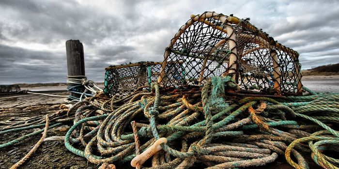 Preparing the lobster fishery for inevitable (climate) change
