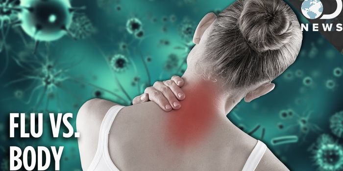 How the Flu Brings Aches and Pains