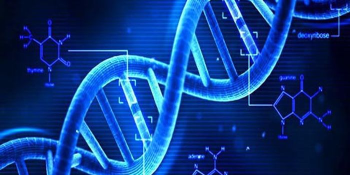 Synthetic DNA Technology for Therapeutic Molecule Delivery