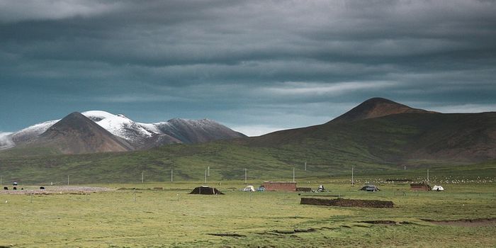 The Origin of a Modern Illness is Seen in Ancient DNA