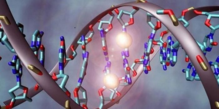 Using Epigenetics to Aid in the Diagnosis and Prevention of Autism Spectrum Disorders