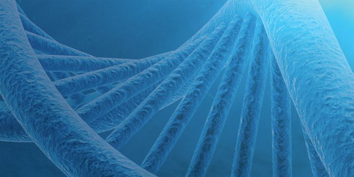 Choosing an NGS workflow: What are you looking for?