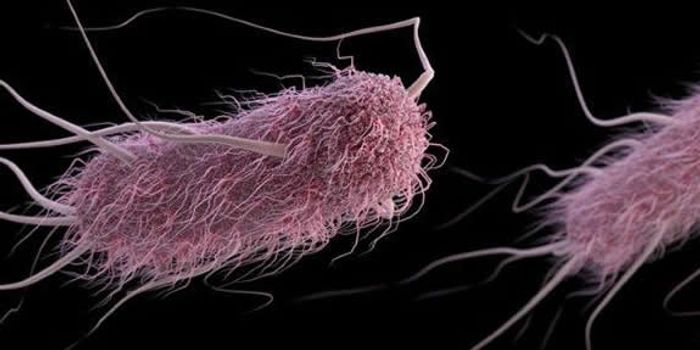 PPMO Molecules Enhance Antibiotics' Ability to Fight Superbugs