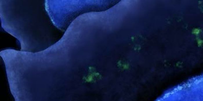 Machine Learning Builds a Database of Obesity Variants