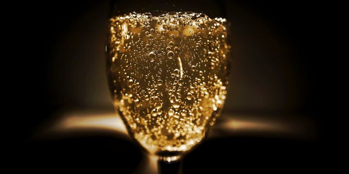 Could Memory Manipulation Treat Alcohol Addiction?