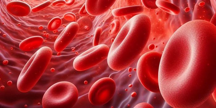 Cannabis Linked to 210% Higher Risk of Cardiovascular Death