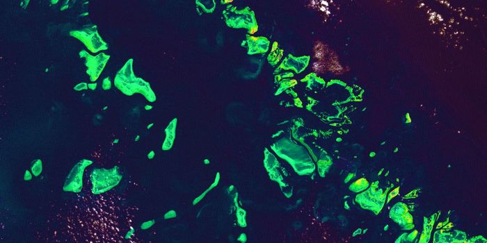 Only 3% of COVID-19 Antibody Tests Approved by FDA