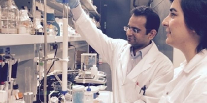 Could Maple Syrup Help Cut Use of Antibiotics?