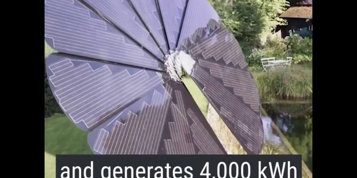 Environmental Innovation: The Flower Solar Panel