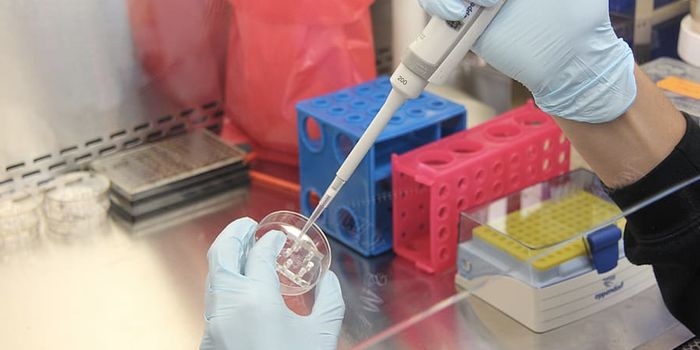 What is ChIP-Seq and Is It Quantitative After All?