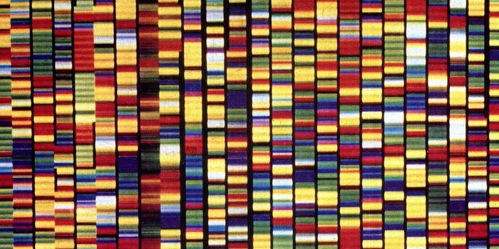 Chinese Scientists to Become First to use CRISPR on Humans