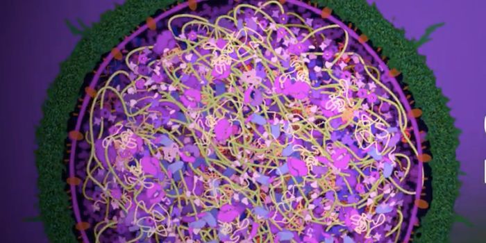 How Penicillin Works