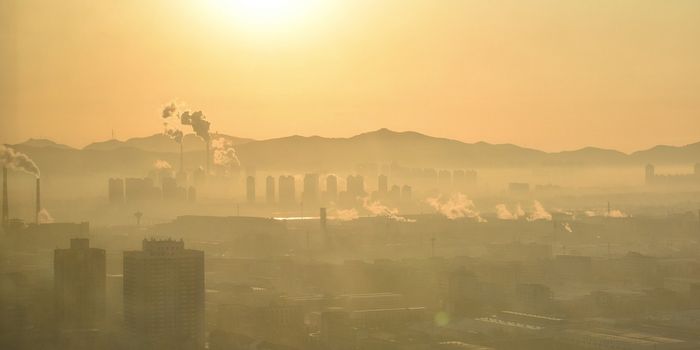 Studies Highlight Danger Air Pollution Poses to Fetuses & Infants