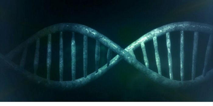 Diagnosing Fragile X Syndrome