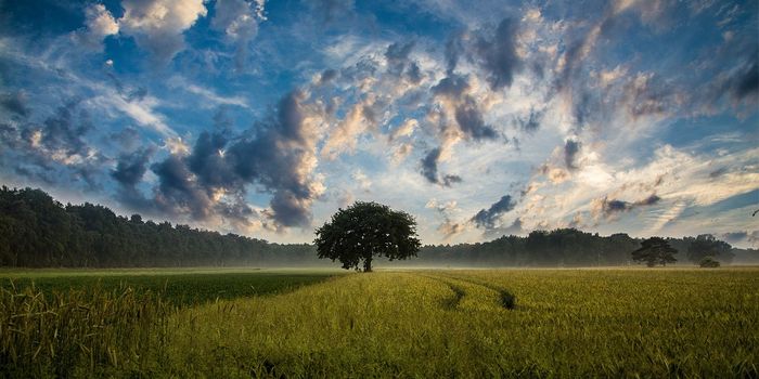 Deep Learning Improves Cloud Detection Methods