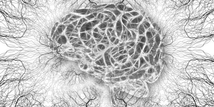 Bugs on the Brain - Gut Microbes Affect Neurodegeneration