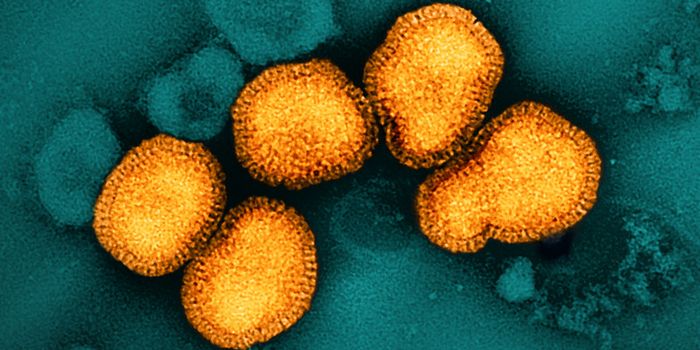 Cells of the Vagus Nerve Defend Against Flu Damage