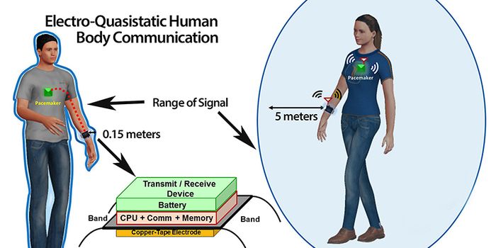 Your body is Your Internet